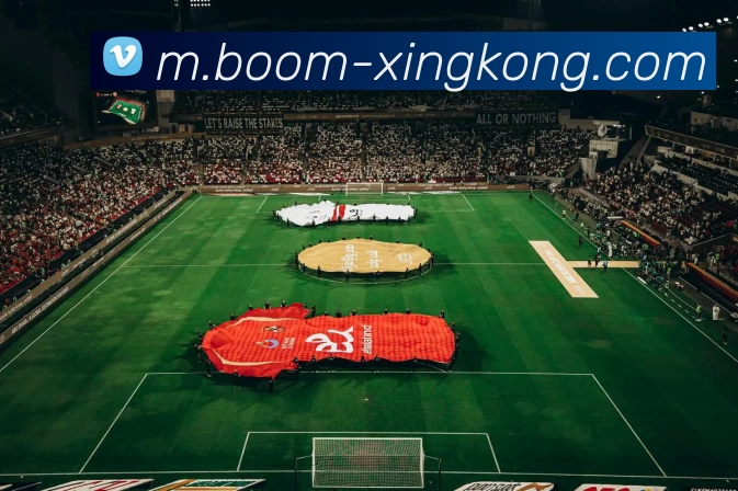 星空体育平台生态图