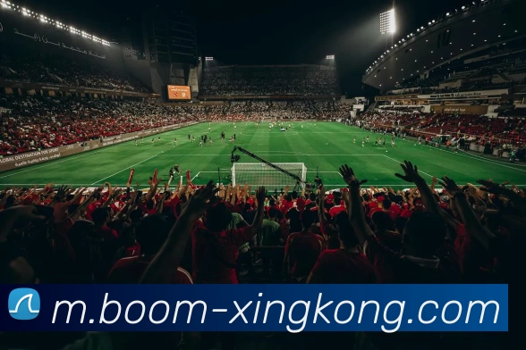 星空体育全站App